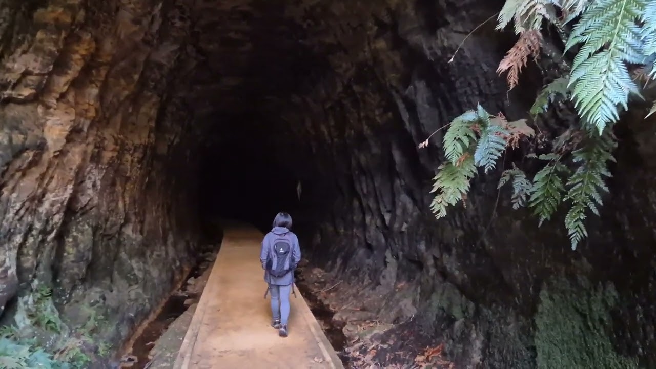 Glow Worm Tunnel,  Wollemi National Park, New South Wales