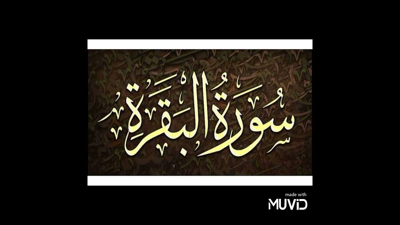 سورة البقرة من الآية 135ـــــــــــــ 176