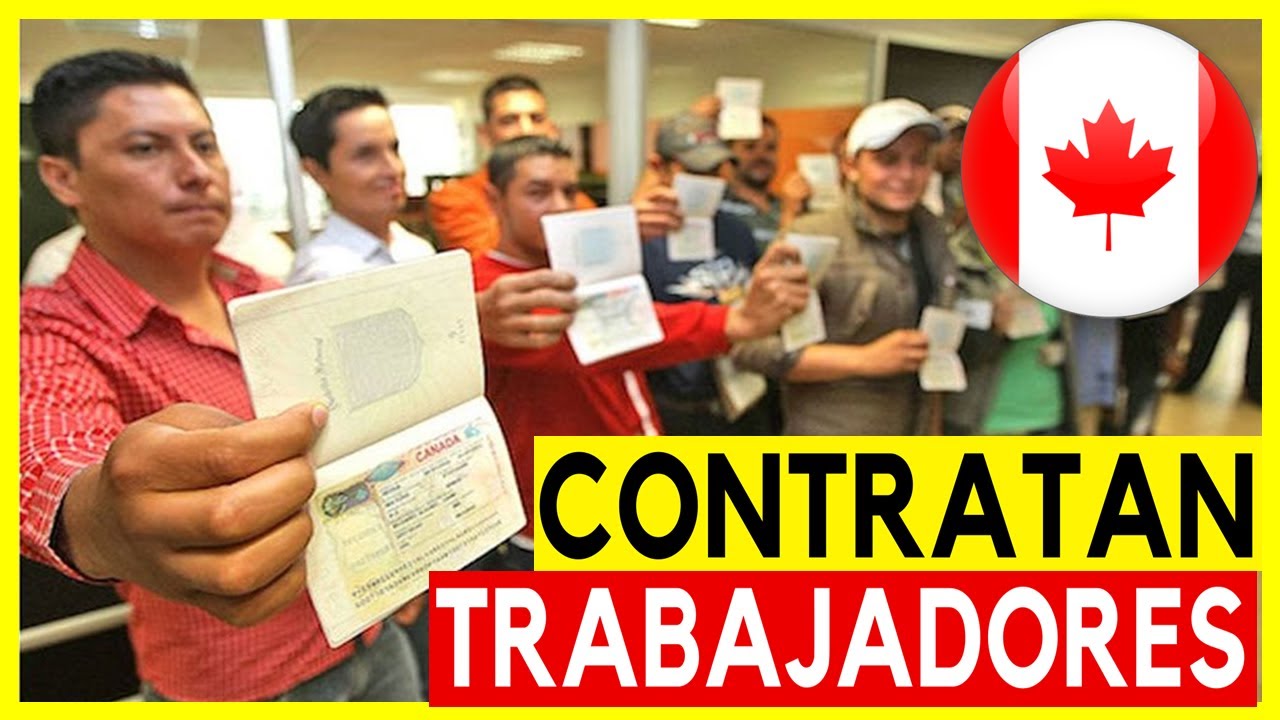 🟥 Descubre Qué Empresas Te llevan  TRABAJAR  Canadá 2023 (Reclutadoras de Trabajadores Extranjeros)