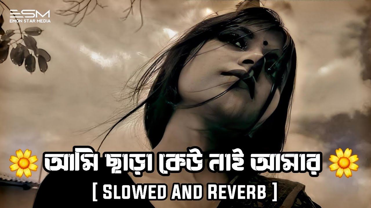 আমি ছাড়া কেউ নাই আমার | Ami Chara Keu Nai Amar (Slowed + Reverb) ‪Emon Star Media | Bangla Lofi Song