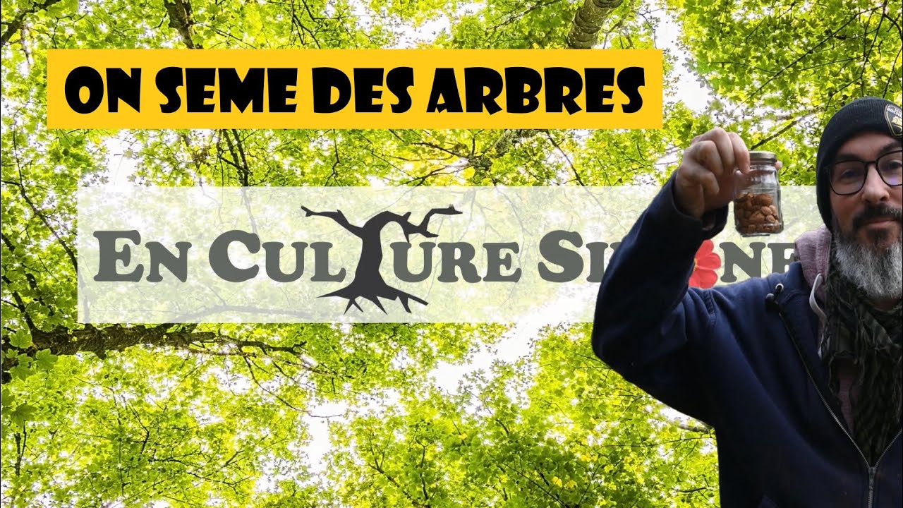 On sème des arbres fruitiers
