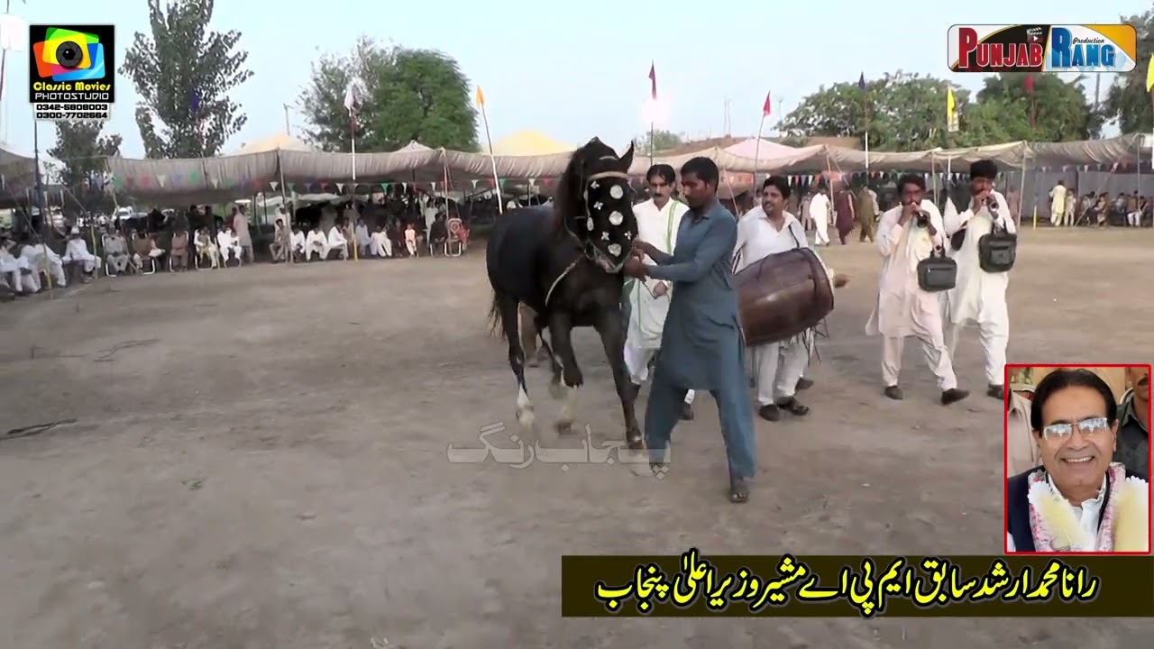 Anmol Waseer l Man Pasand l Nukra Nsir KHan Horse Dance Mehmood Pura Chak No 1 Nankana 29 Sept 2023