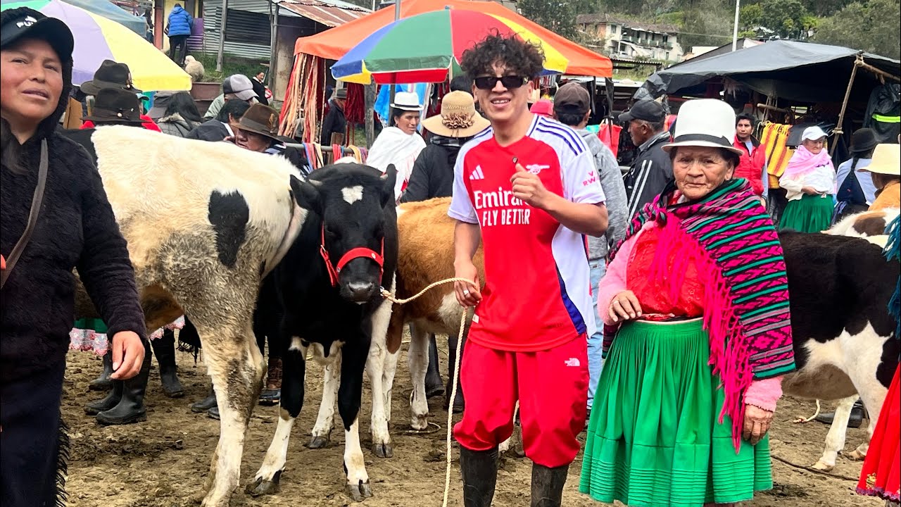 Compre una vaca soltera 