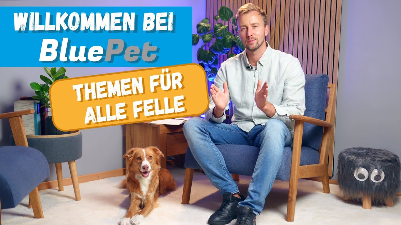 BluePet TV - Tierwissen, Fellpflege & mehr