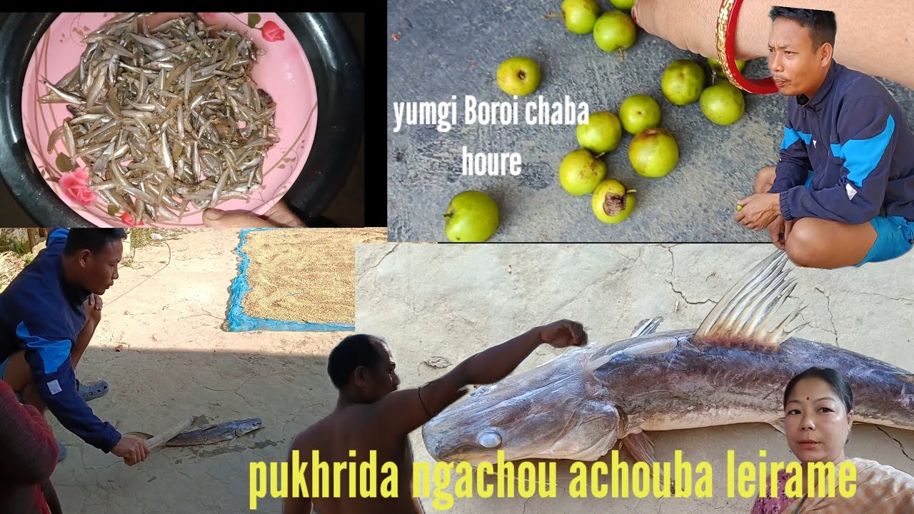 Ngasidi pukhrida Ngachou achouba ama leirame || turelgi ngatup ngcsu chare