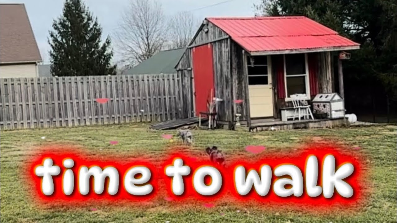 time to waking and playing my dog