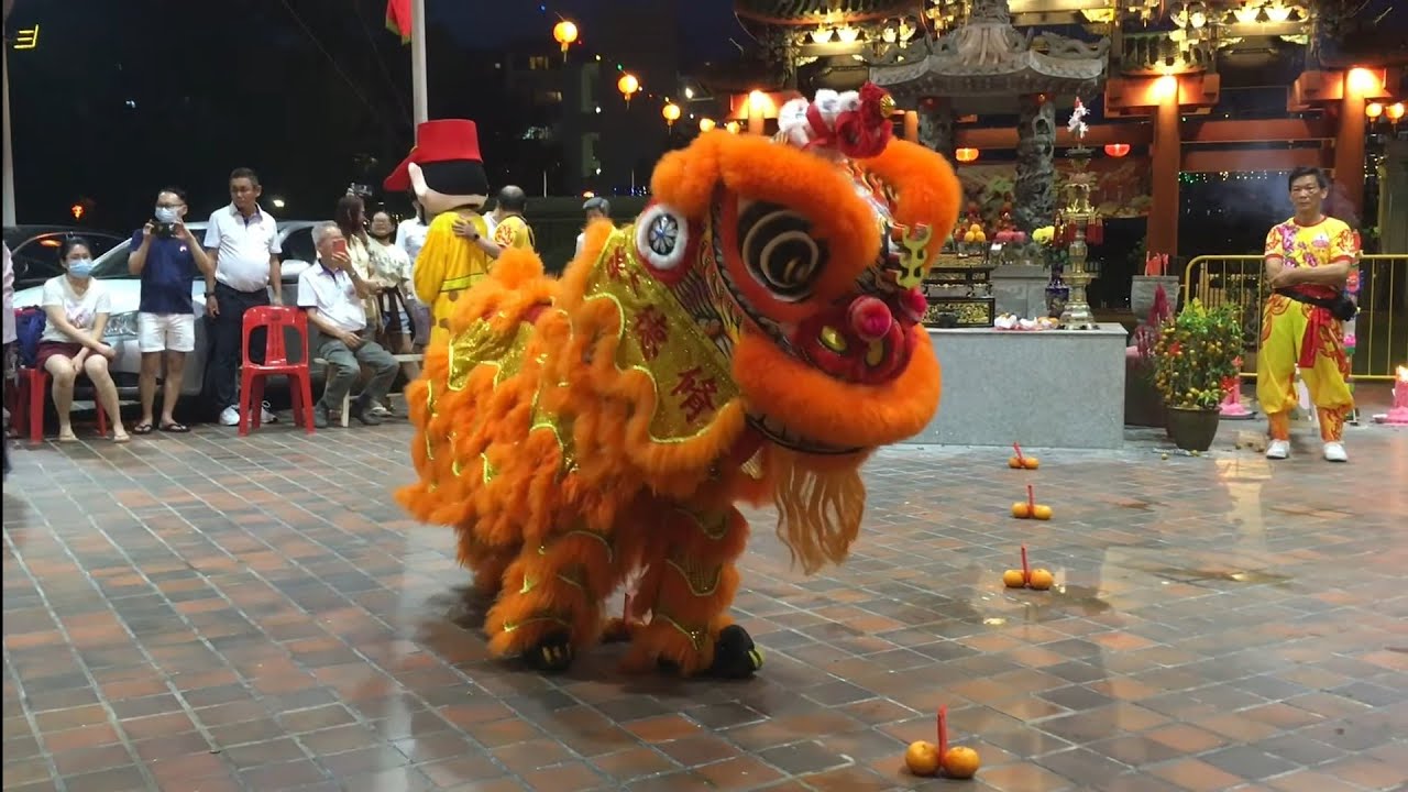 大巴窑修德善堂文化团 TPSTST Lion Dance Cai Qing Performance at Toa Payoh Seu Teck Sean Tong 5 February 2023