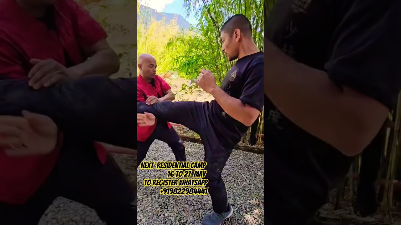 Hung Gar Combat Application #wushufight #martialarts #hungkuen #hunggar #shaolin #kungfu #shifu