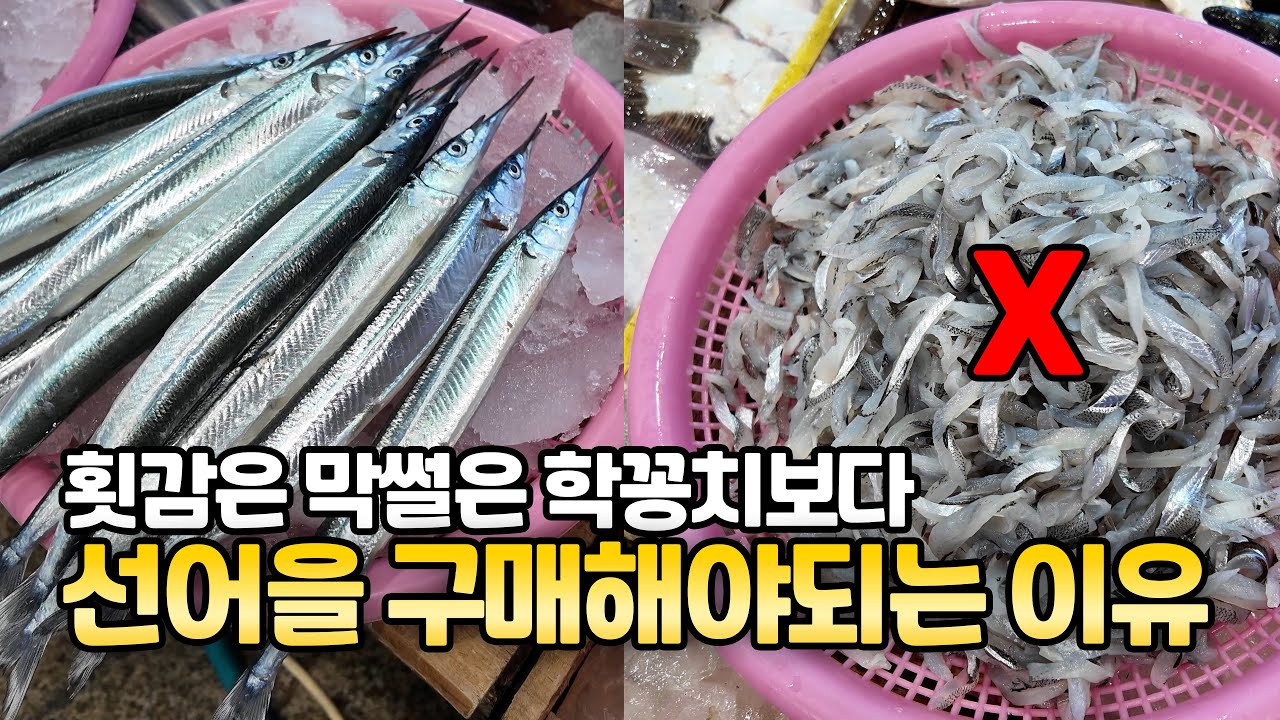 소쿠리에 파는 학꽁치, 회감인지 모르고 먹어봤더니 인생회!