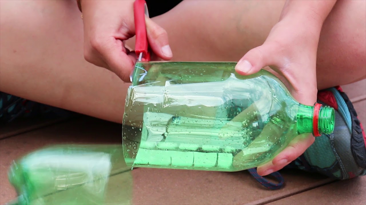 How to Make a Berlese Funnel (Molly Dieterich Mabin)