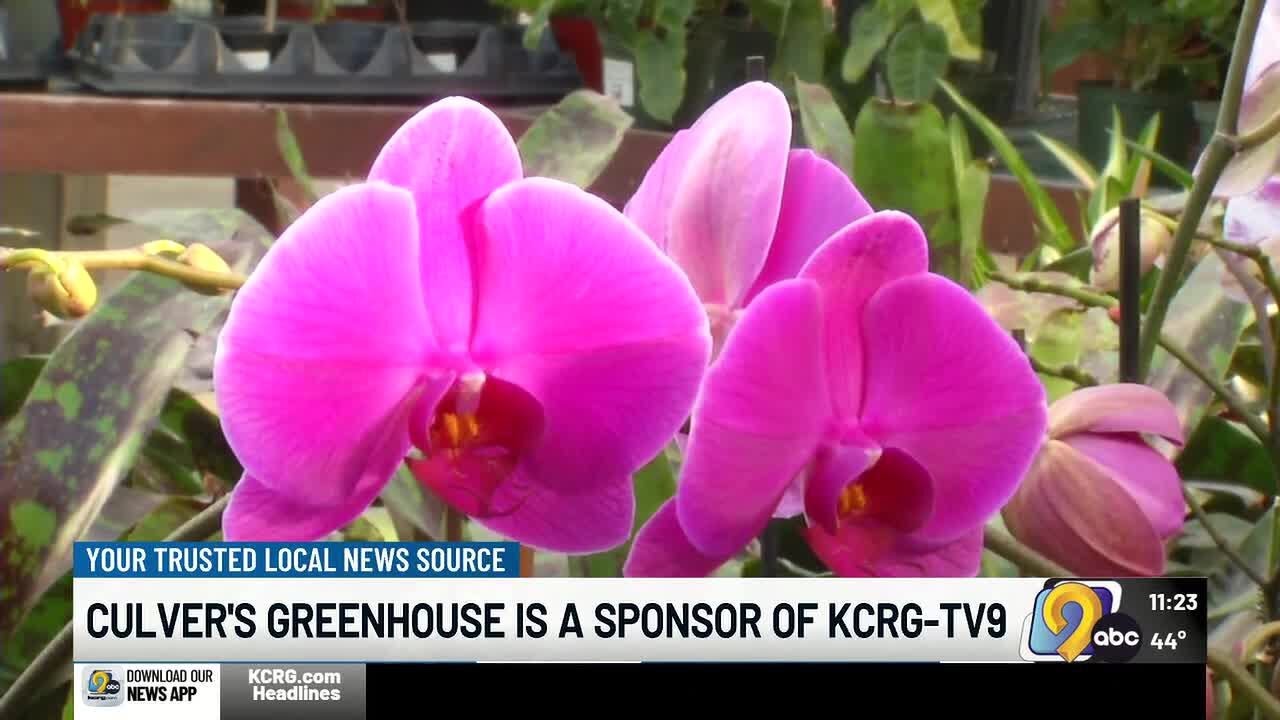 Culver's Greenhouse: Valentine's Day gifts