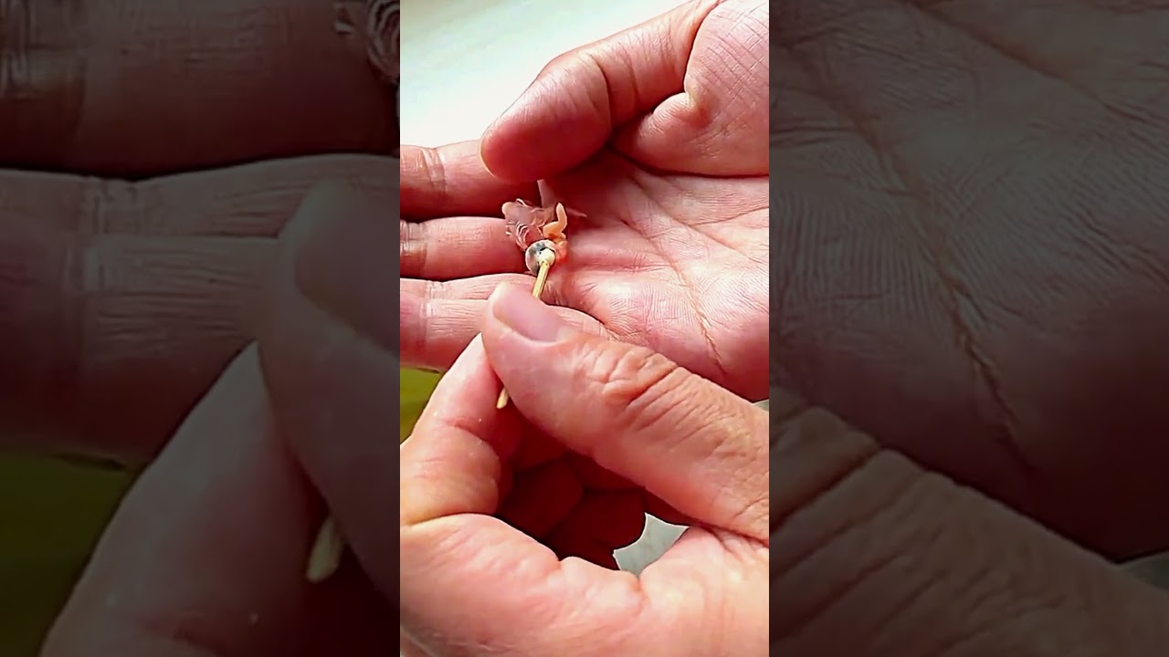 The parrot and her miracle chick #animals #rescue #animalrescue #animalshorts