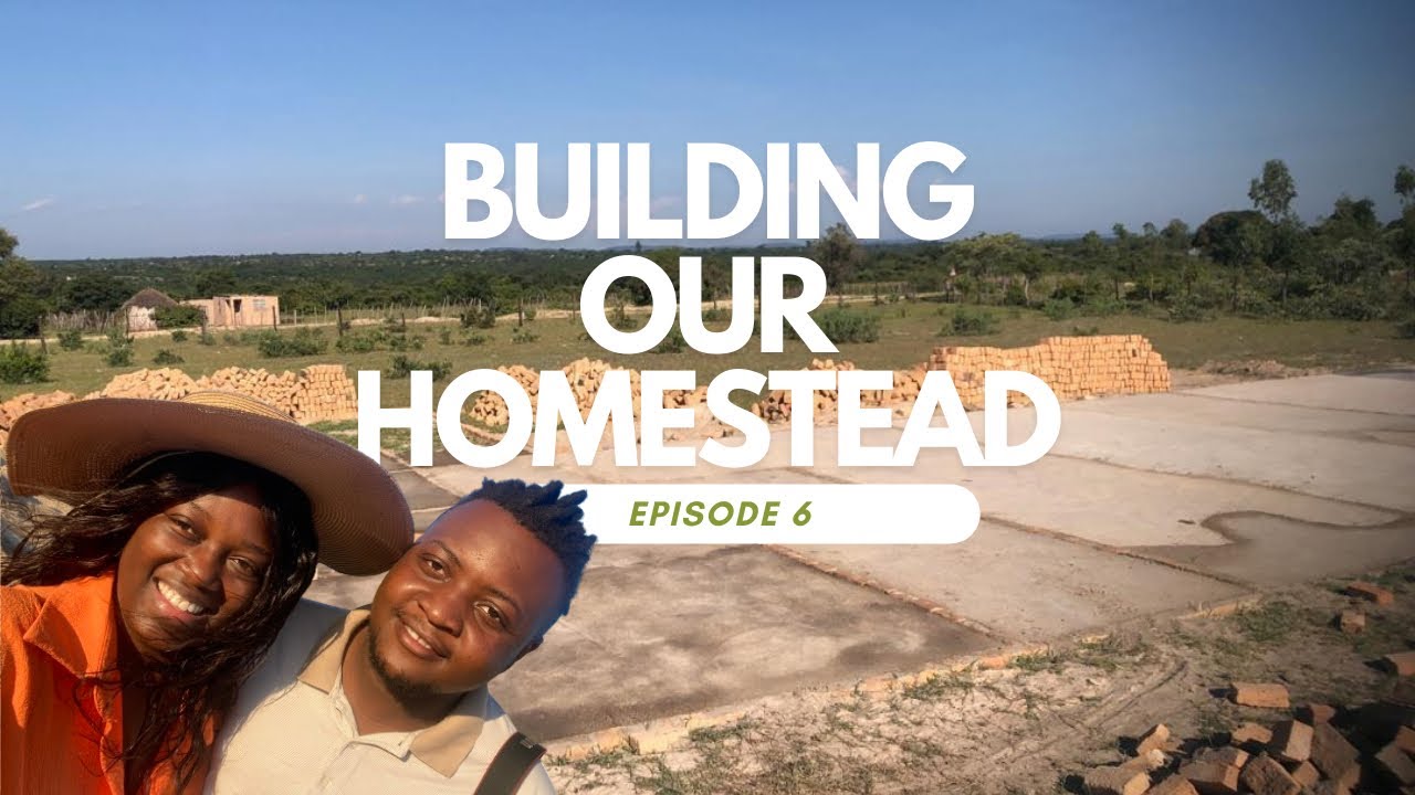#06 Обновление «Строим нашу усадьбу в Зимбабве» #villagevlog #homestead