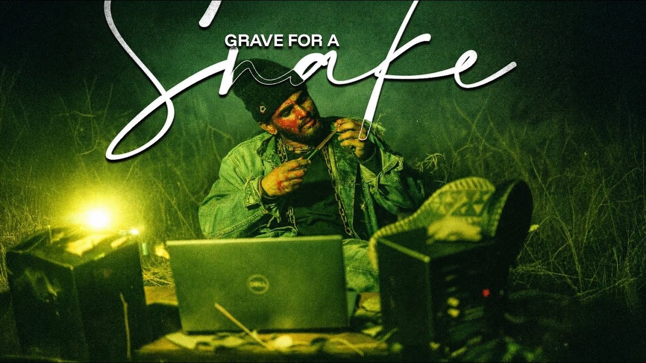 GRAVE FOR A SNAKE - ALEX ROMIYO | OFFICIAL MUSIC AUDIO |