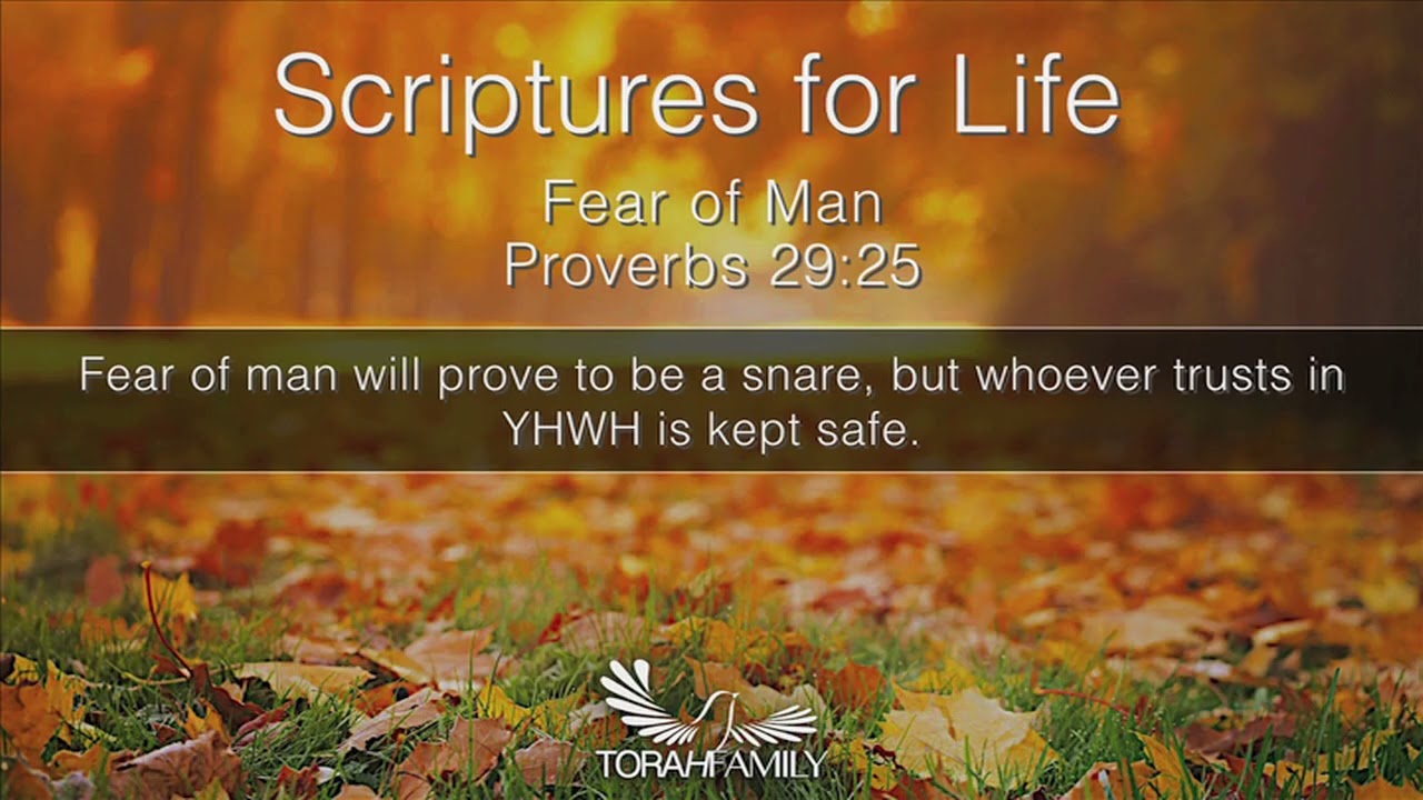 Scriptures for Life | Fear of Man