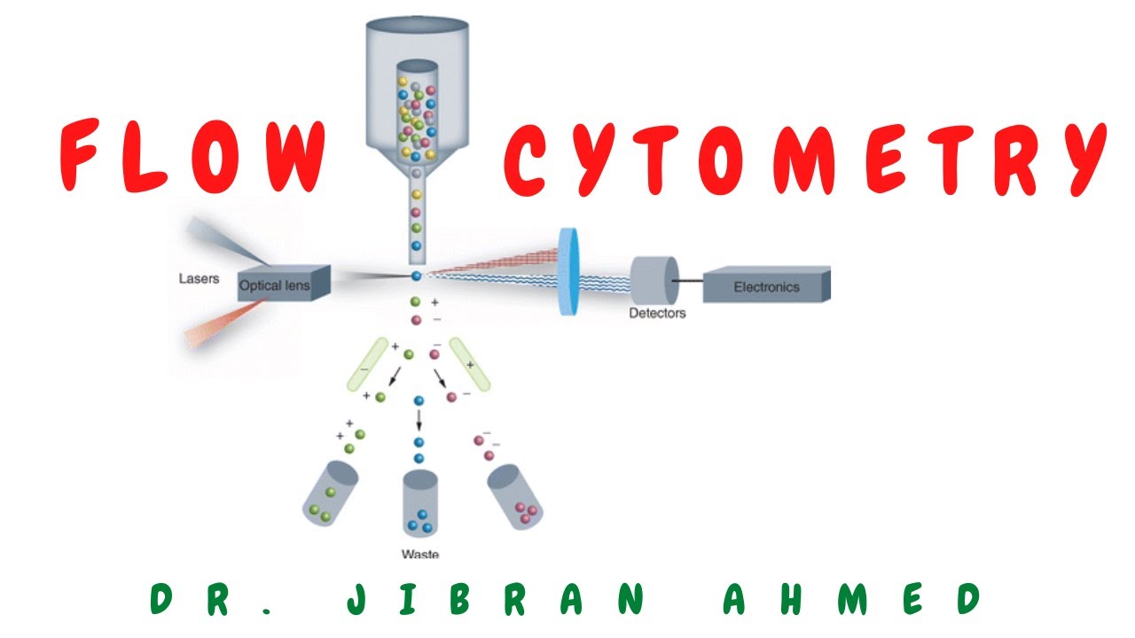 FLOW CYTOMETRY II MOLECULAR PATHOLOGY II @DR JIBRAN AHMED II