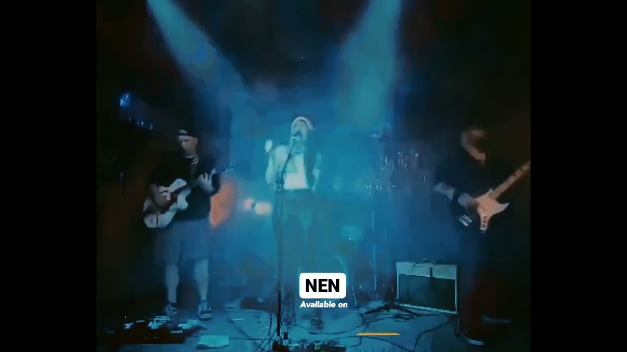 N.E.N now avaliable everywhere!