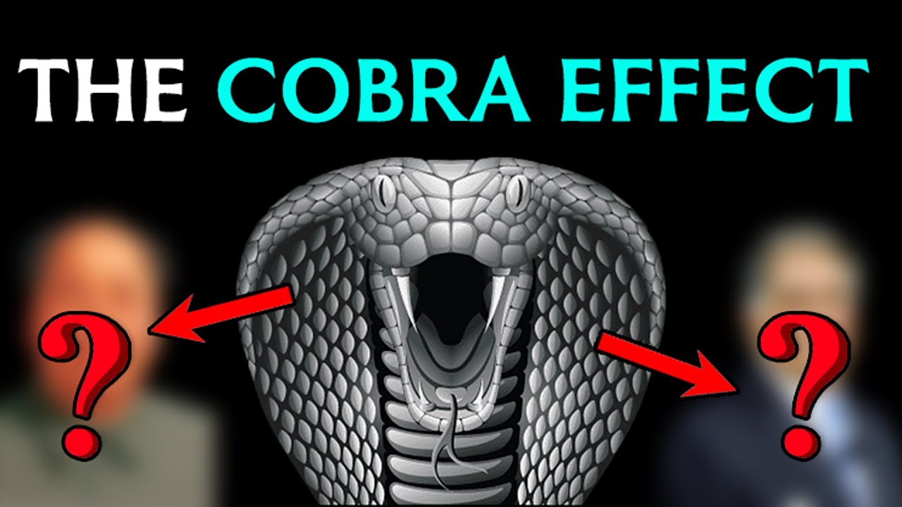 வடக்கன் செய்த சிறப்பான சம்பவம் | The Cobra Effect | Explained in Tamil | Comali Talks