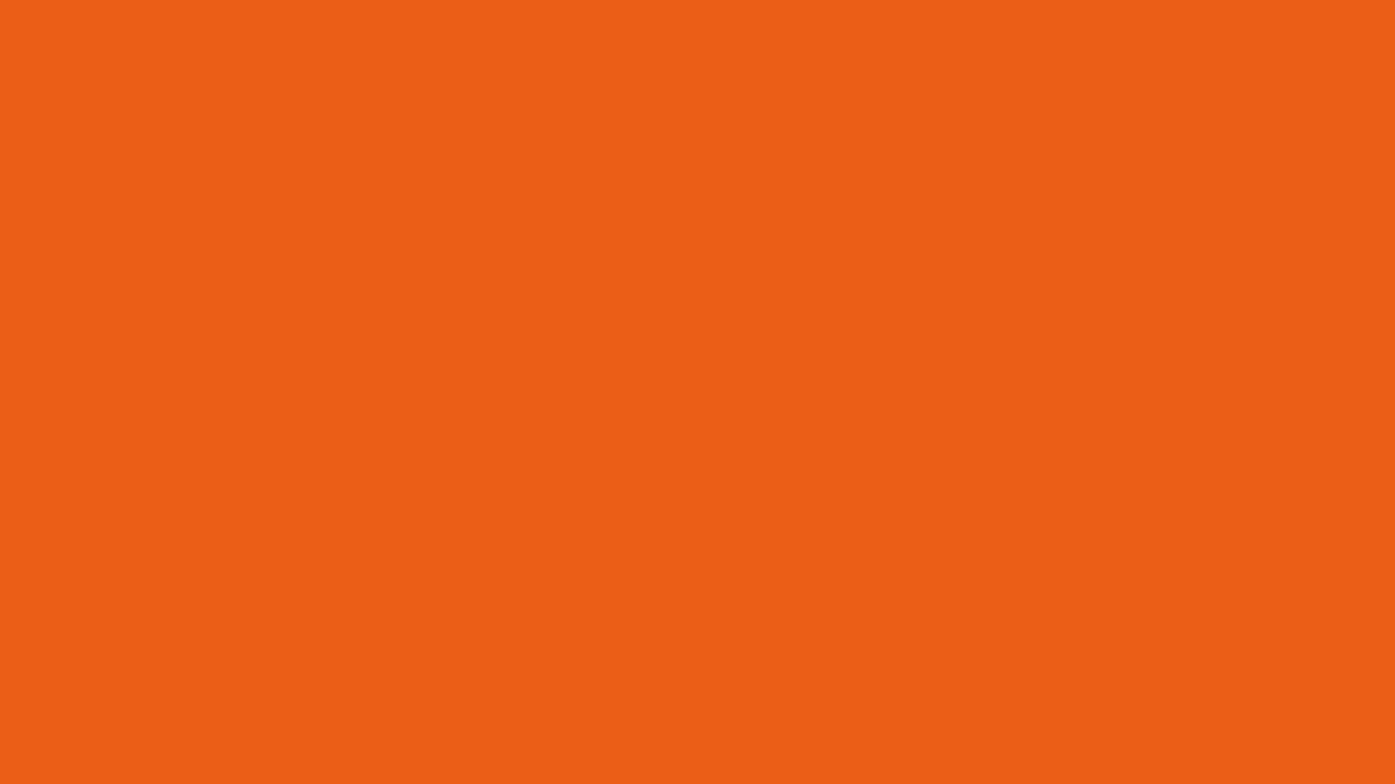 12 Hour Orange Tiger HD 1920x1080 Silence No Sound 