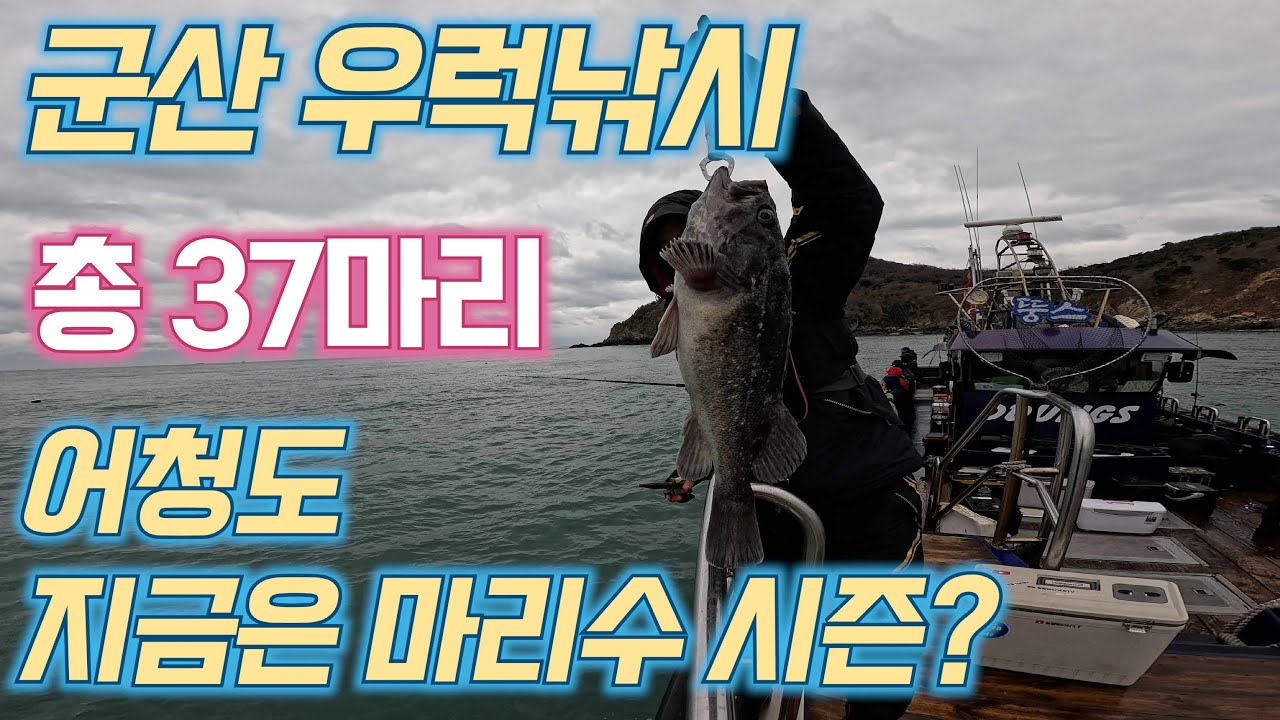 군산 어청도 우럭낚시 지금은 마리수 시즌?