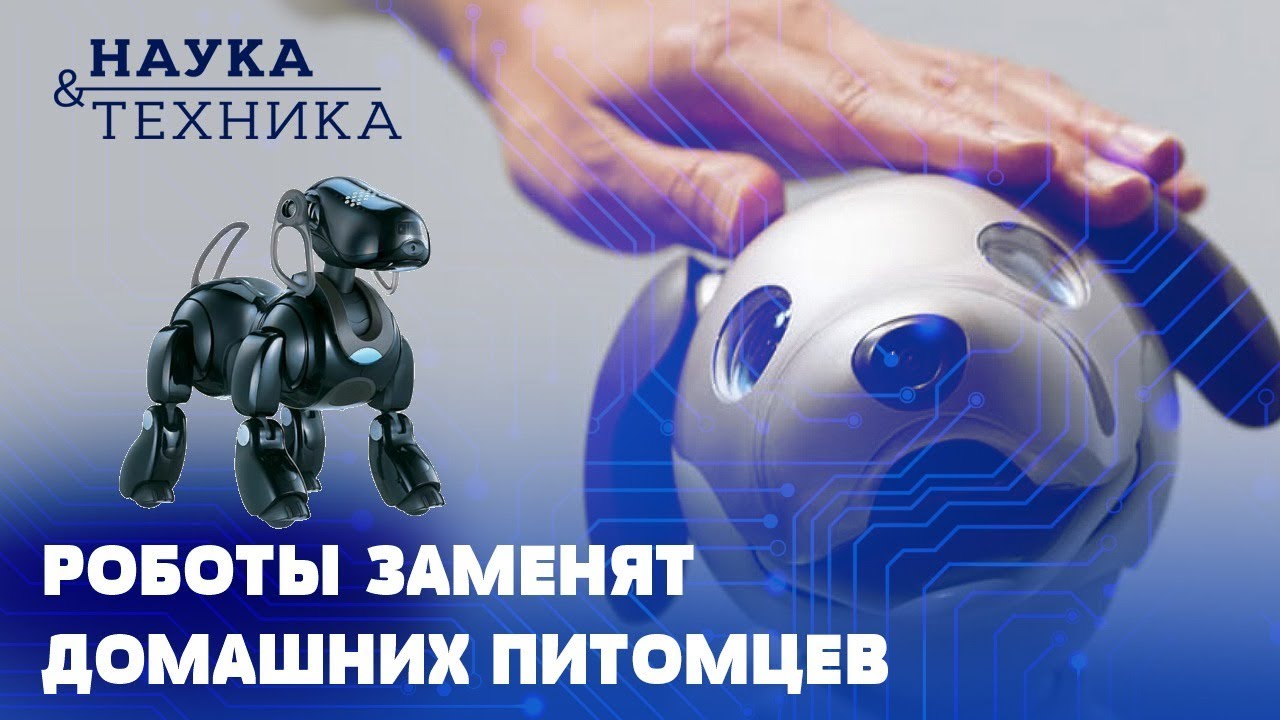 Роботы, которые заменят наших домашних животных