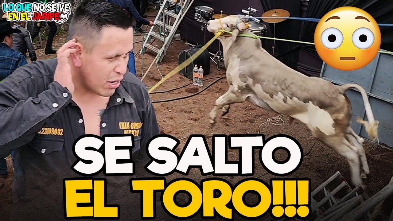 A CORRER!!! SE SOLTO EL TORO LO MEJOR DEL JARIPEO (todo un caos el agarrar aal toro)