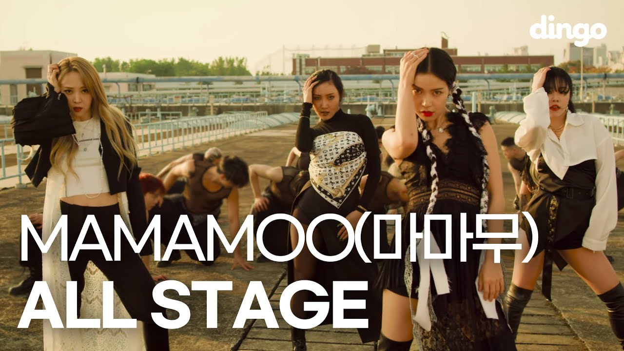 ✨dgg Pick✨마마무 컴백 기념! 마마무 퍼포먼스 모음!ㅣMAMAMOO Performance CompilationㅣDingga,AYA,Water color,LMM,뱉어 등