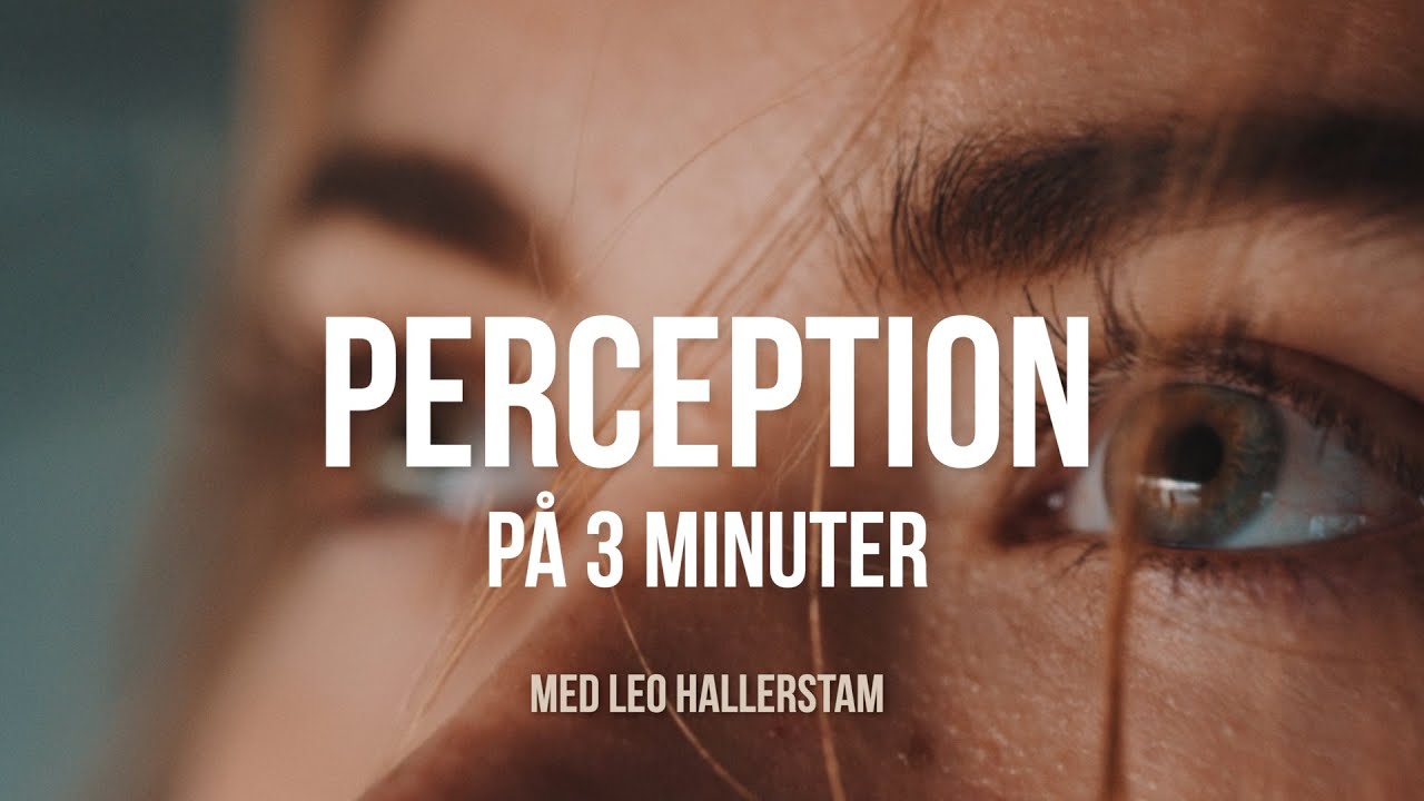Perception på 3 minuter