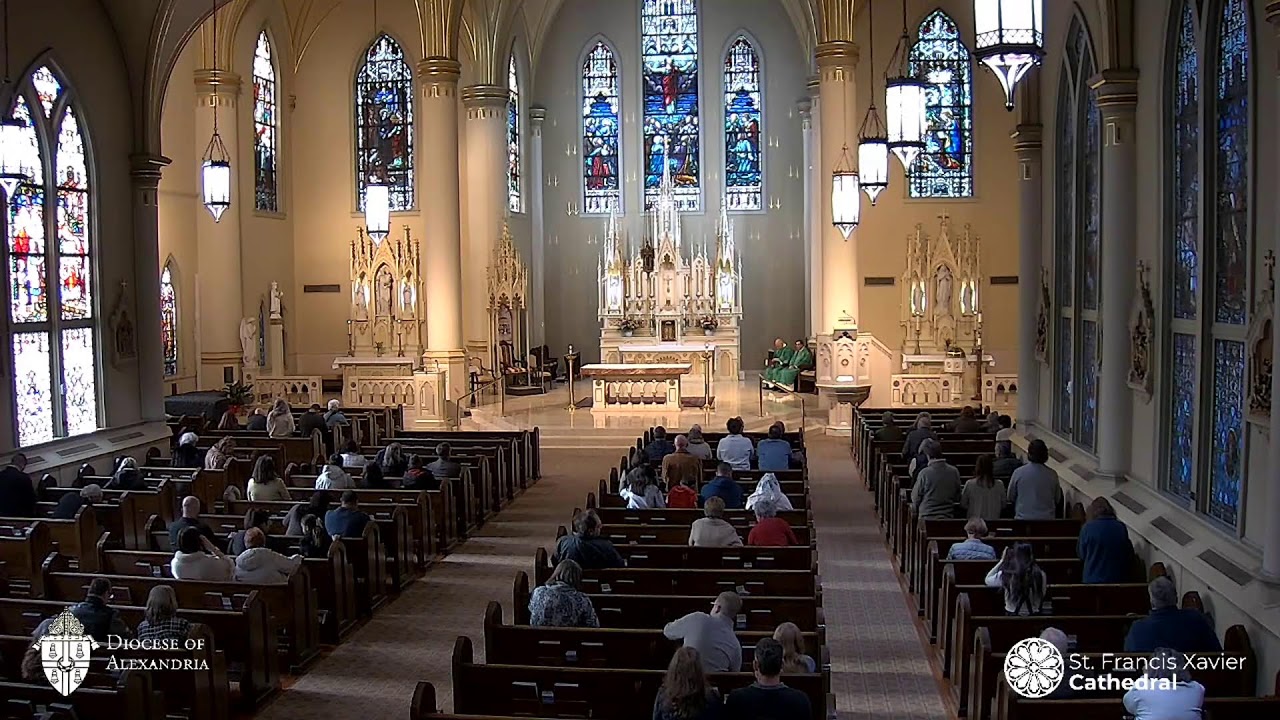January 18, 2026 Sunday Mass - One License A-718432