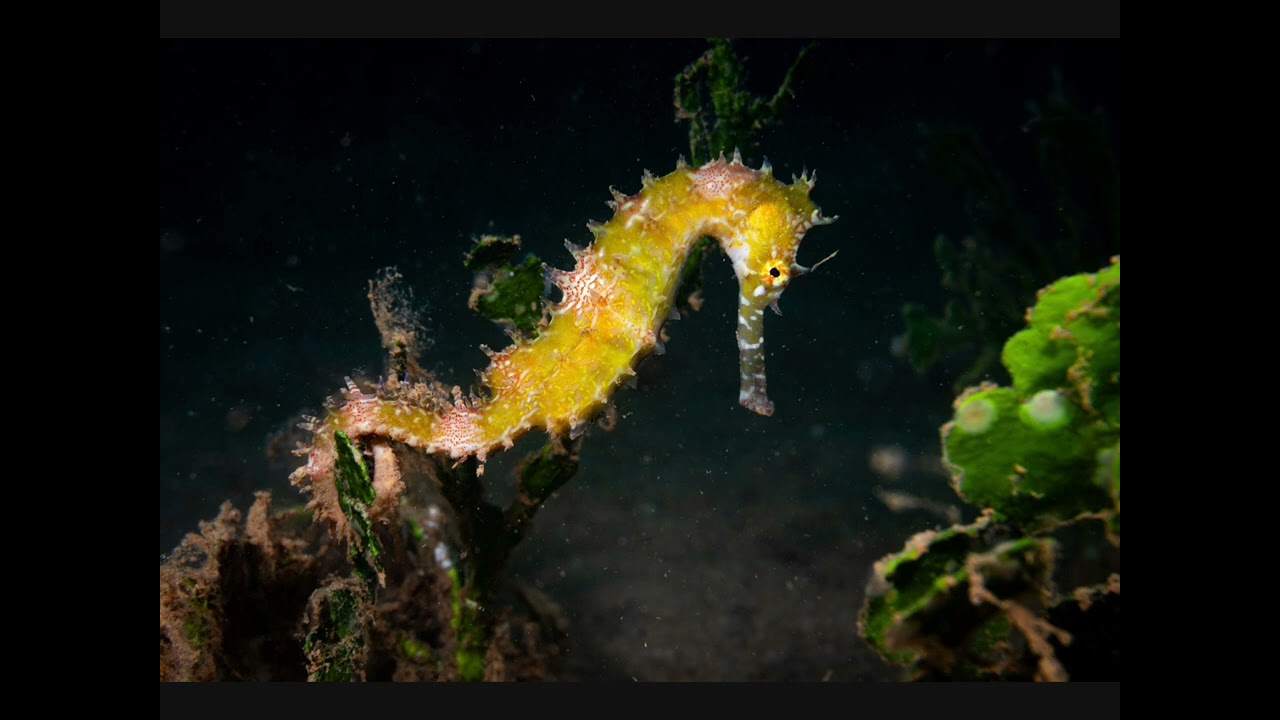 K-Ci & Jojo All My Life (Instrumental 2026)