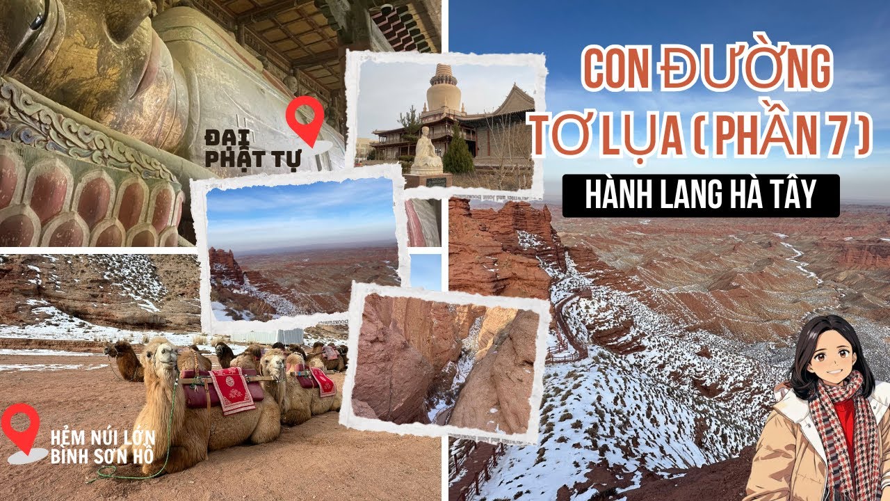 Con Đường Tơ Lụa ( Phần 7 ): Hẻm Núi Lớn Bình Sơn Hồ, Đại Phật Tự Ngôi Chùa 900 Năm Tuổi 