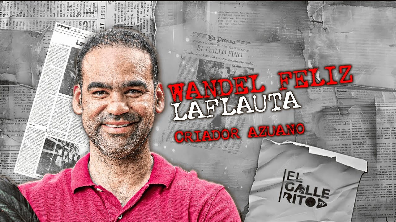 Wandel Feliz comparte su experiencia en la crianza tradicional de gallos | Entrevista desde Azua