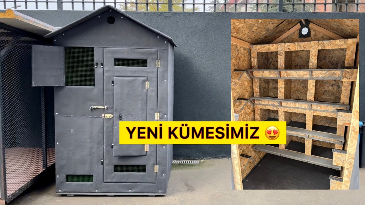 YENİ HARİKA KÜMESİMİZ 💯 - Osb Güvercin Kümesi Yapımı