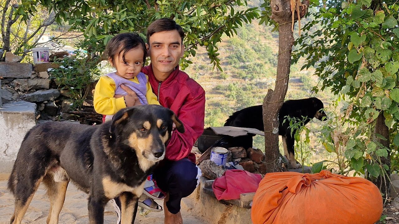 उत्तराखंड का ग्रामीण जीवन || Village Lifestyle of Uttarakhand || Family Vlog || Dr Ashok Nautiyal