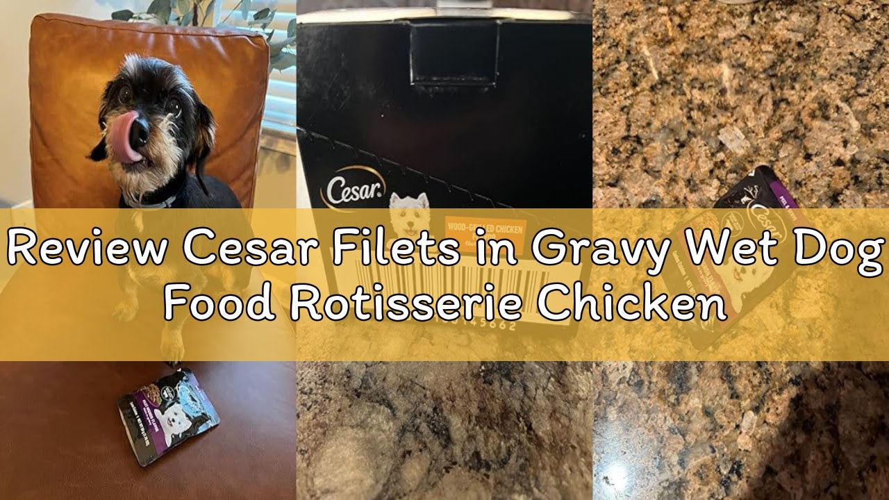Review Cesar Filets in Gravy Wet Dog Food Rotisserie Chicken Flavor, Filet Mignon Flavor, and Wood-G