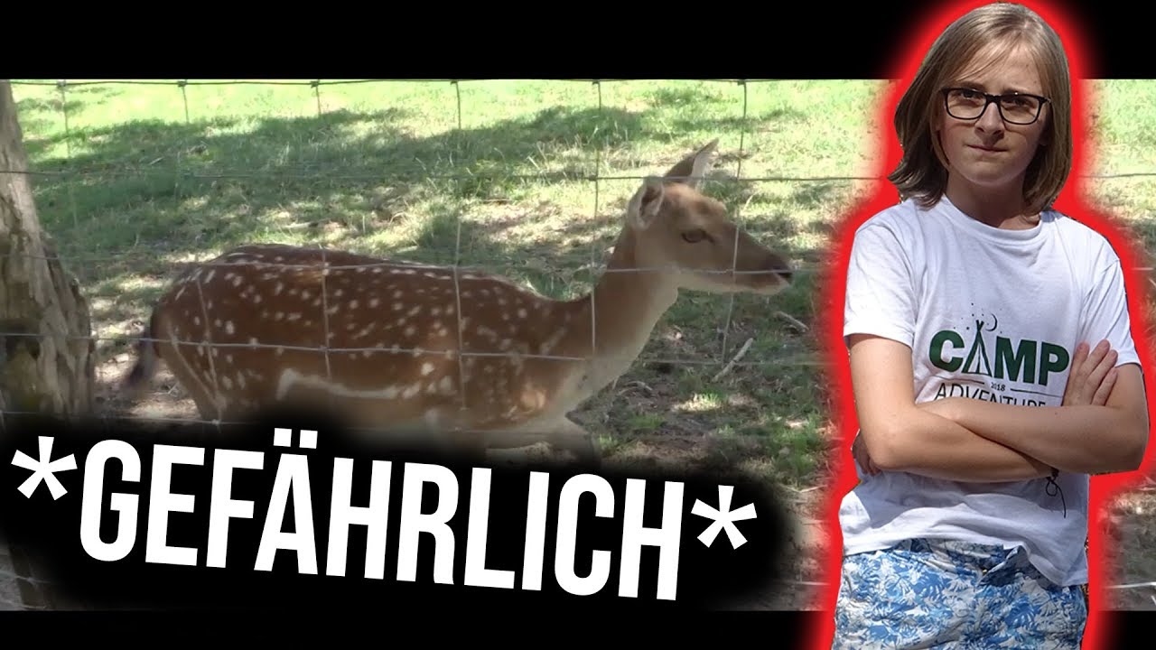 MEGA RUTSCHE im Wildpark Oberreith 😱 *gef&auml;hrlich*