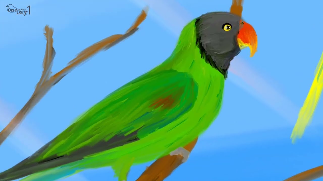 Slaty headed Parakeet 잿빛머리목도리앵무새 그리기