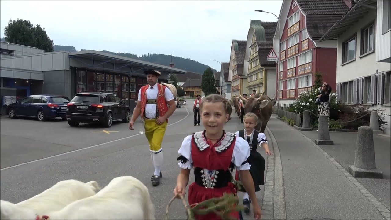 Alpabfahrt Alp Bommen 2024 Familie Peterer, Appenzell auch öberäfahrä, Satellitenpaul