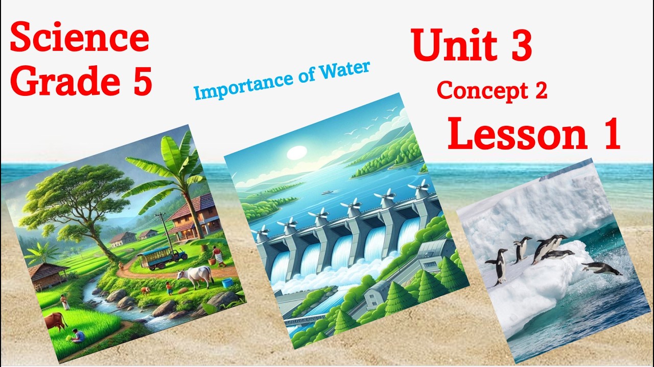 𝐒𝐜𝐢𝐞𝐧𝐜𝐞 𝐆𝐫𝐚𝐝e 5 𝐔𝐧𝐢𝐭 3 𝐂𝐨𝐧𝐜𝐞𝐩𝐭 2 𝐋𝐞𝐬𝐬𝐨𝐧 1 ساينس خامسة ابتدائى ترم ثاني
