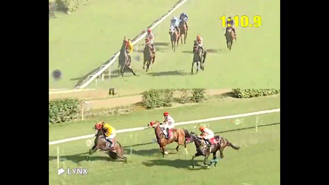 Delhi Race No 4 The DRC President Cup DIV 1 / Win - ASHWA FRANKIE/ Jockey - K Nazil / #video 2026