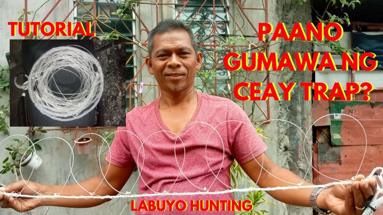 PAANO GUMAWA NG CEAY TRAP GAMIT PANGKATI SA LABUYO? ||TUTORIAL || Juan Lagalag