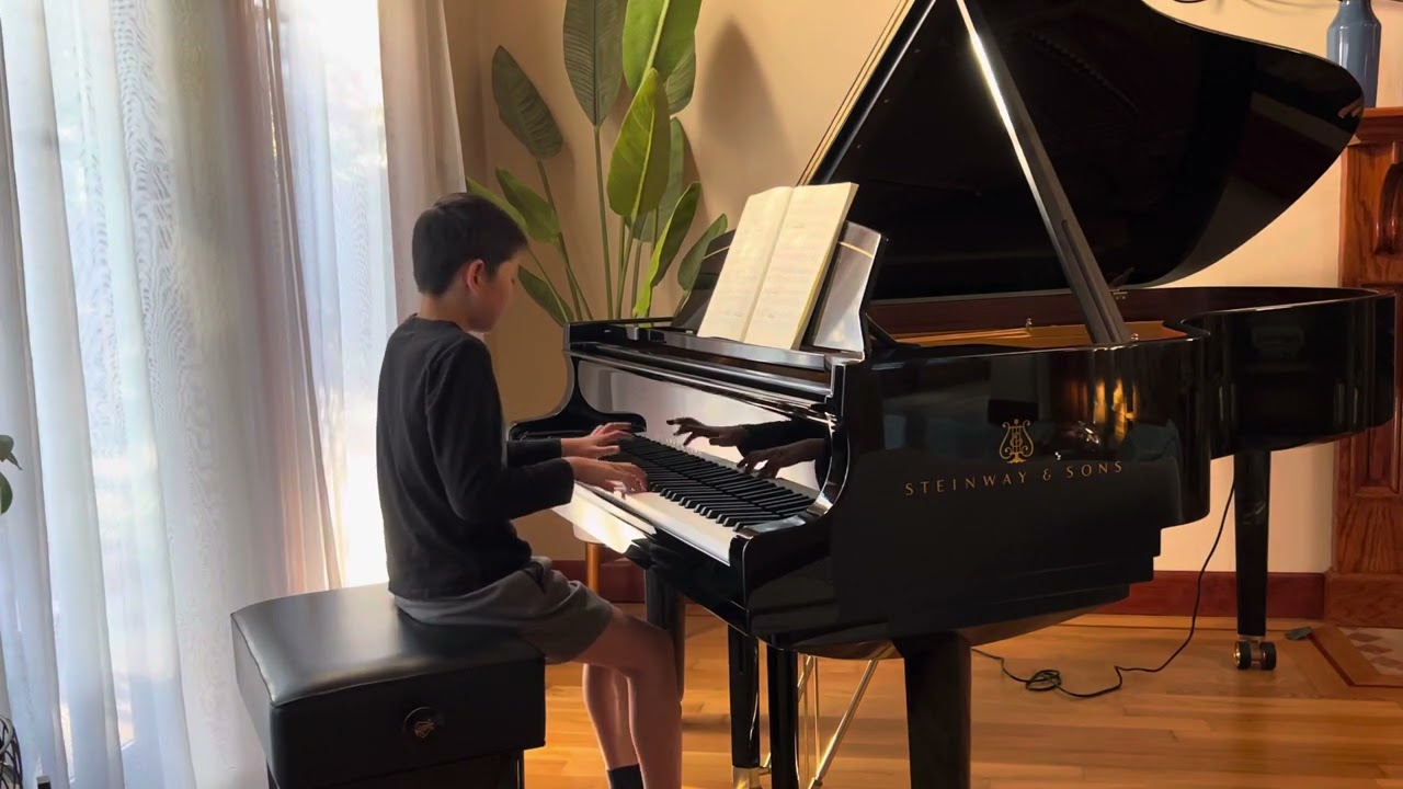 Chopin Nocturne op 90 no 2