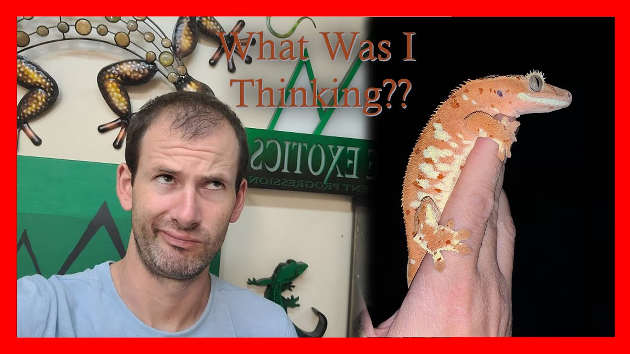 Animals I Regret Selling