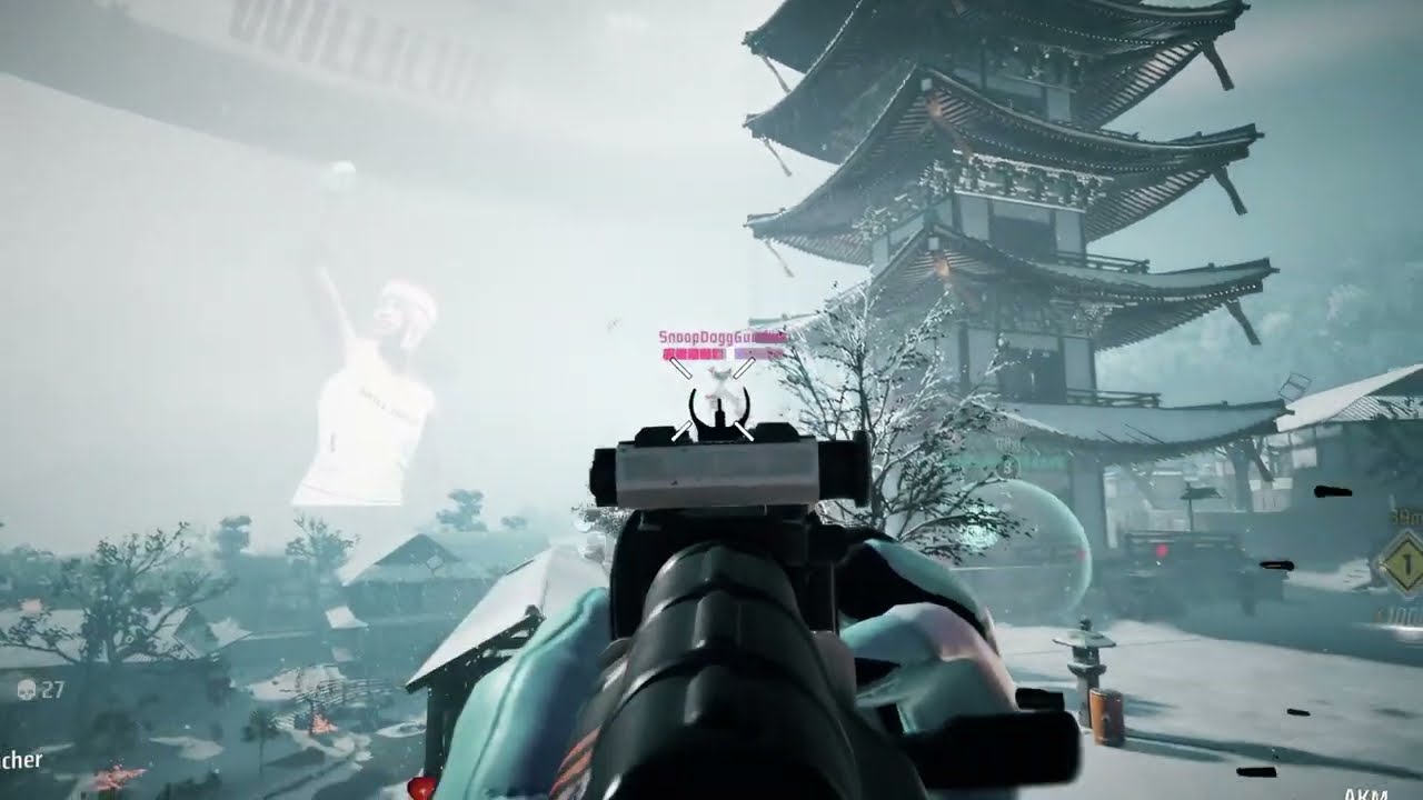 Aim Perfectionist