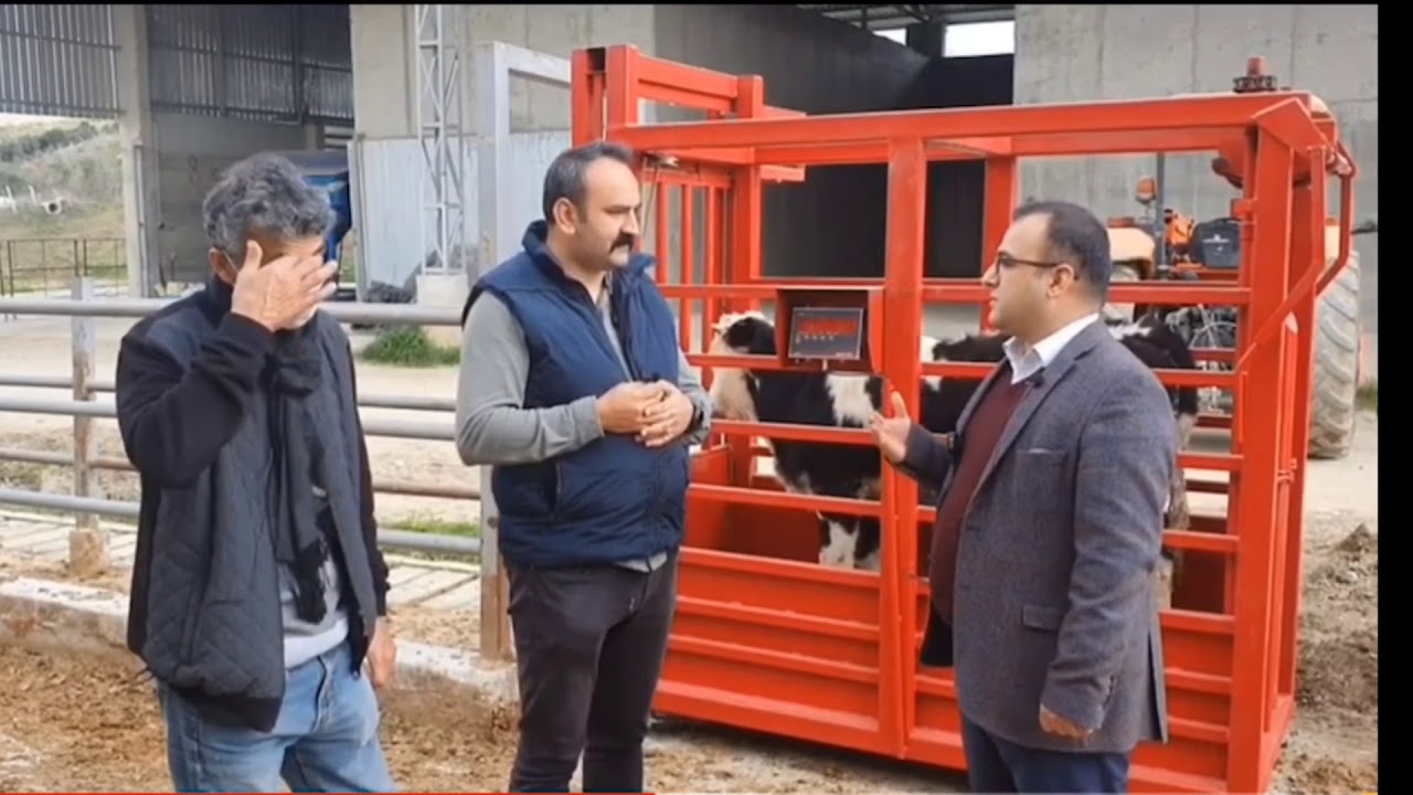 İlçe Tarım Müdürlüğü kontrolünde Arpa hasılı ve Mısır silajı karşılaştırılması (Mitat Besicilik)