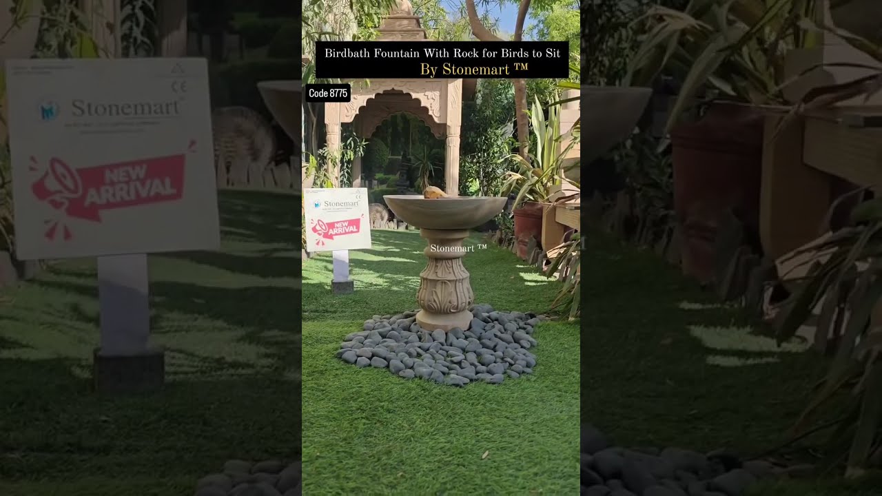 Nature Meets Art in This Bird Bath Fountain!