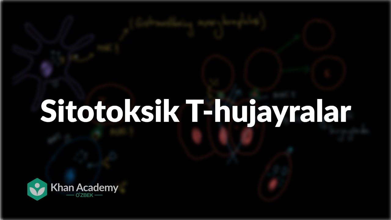 Sitotoksik T-hujayralar | Immun tizimi | Tibbiyot
