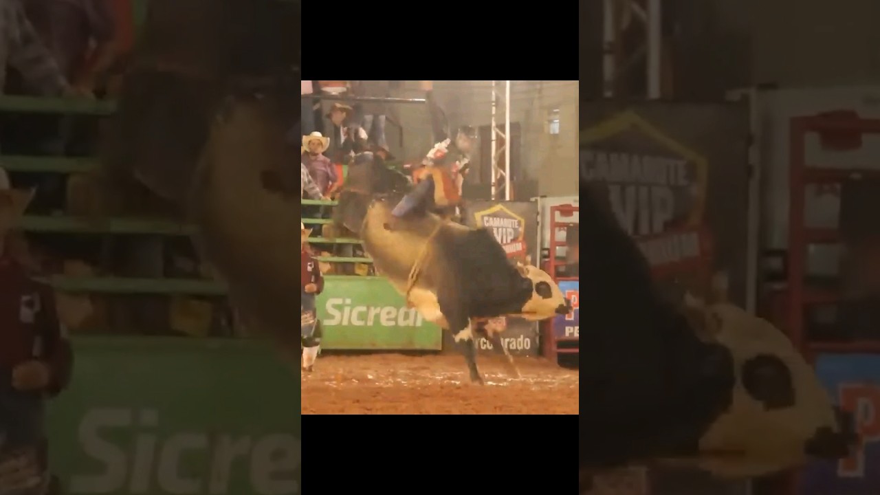 93,00 🔥 Samuel Thiago vs Nort&atilde;o - Cia. Tercio Miranda 🎤 Almir Cambra | Colorado 2017 #rodeio #shorts
