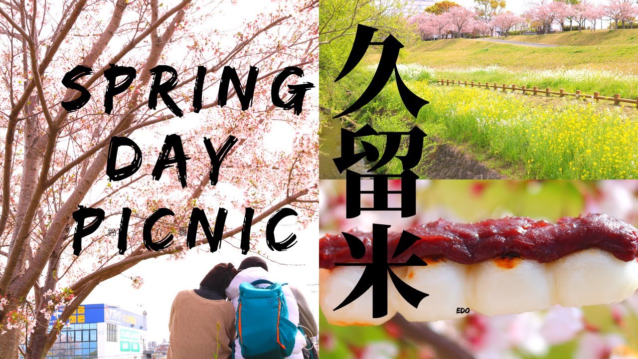 Hanami Day Trip in Kurume | Japan
