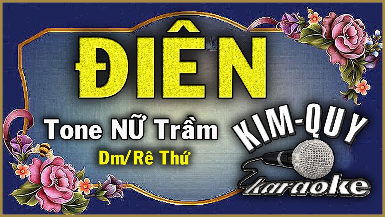 ĐIÊN ( Y Vũ ) - KARAOKE - Tone NỮ Trầm ( Dm/Rê thứ )